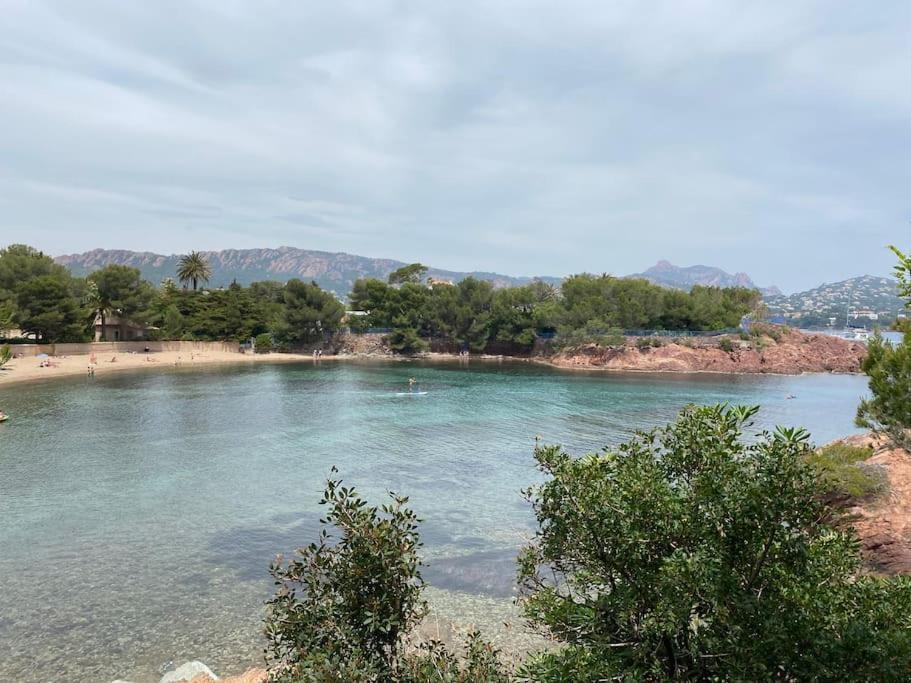 St Raphael 37M2, Piscine, Wifi, Commerces Mer 5Mn A Pieds Saint-Raphaël 外观 照片